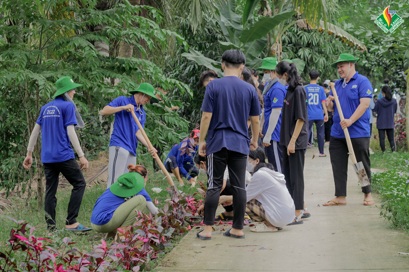 cá cược thể thao hul city